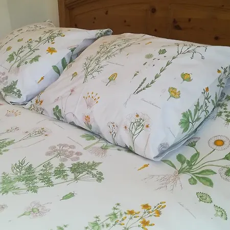 招待所 埃尔卡斯蒂洛旅馆 3*