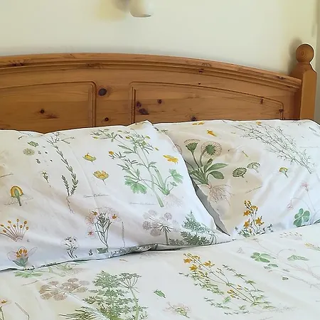 埃尔卡斯蒂洛旅馆